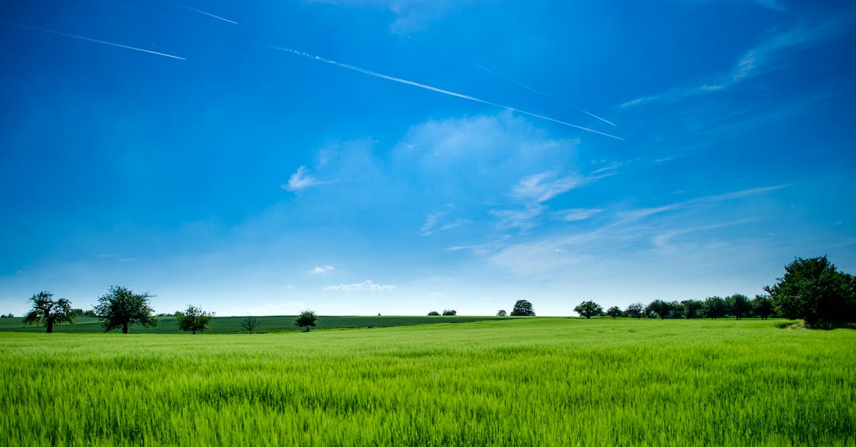 découvrez l'importance et les avantages des terres agricoles, ainsi que leur rôle essentiel dans la production alimentaire et la durabilité environnementale. explorez comment ces ressources naturelles favorisent l'agriculture durable et soutiennent l'économie locale.