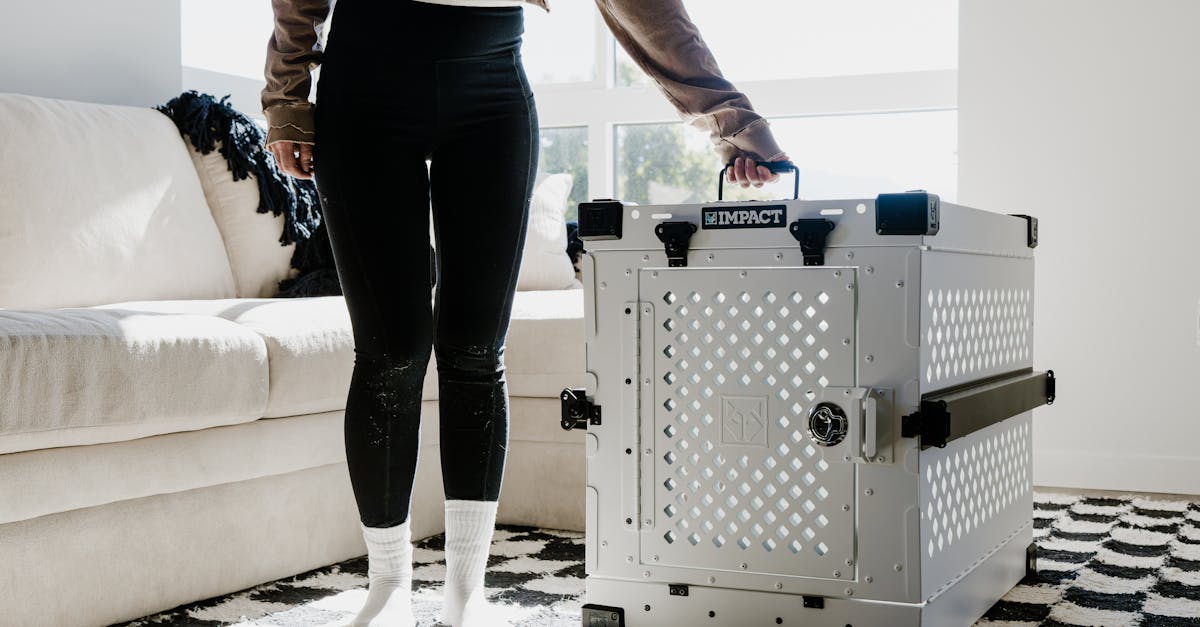 découvrez notre garantie bisannuelle qui vous offre une protection complète et une tranquillité d'esprit pour vos biens. profitez d'une couverture étendue et d'un service client dédié, pour garantir la durabilité et la qualité de vos investissements sur le long terme.
