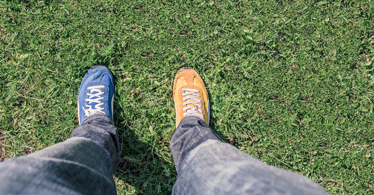 découvrez les différences essentielles entre divers concepts, idées ou produits. cette analyse vous permettra de mieux comprendre les nuances et de faire des choix éclairés.