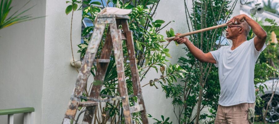 découvrez comment rénover efficacement vos espaces avec nos conseils pratiques et astuces pour transformer votre intérieur tout en respectant votre budget. nos guides vous aideront à réaliser vos projets de rénovation avec succès.