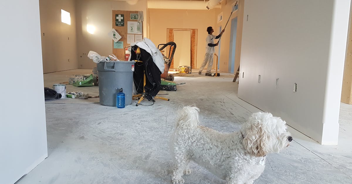 découvrez nos services de rénovation complète pour redonner vie à votre espace. que ce soit pour une mise à jour esthétique ou une transformation totale, notre équipe d'experts est là pour réaliser vos projets avec qualité et professionnalisme. obtenez un devis personnalisé dès aujourd'hui!