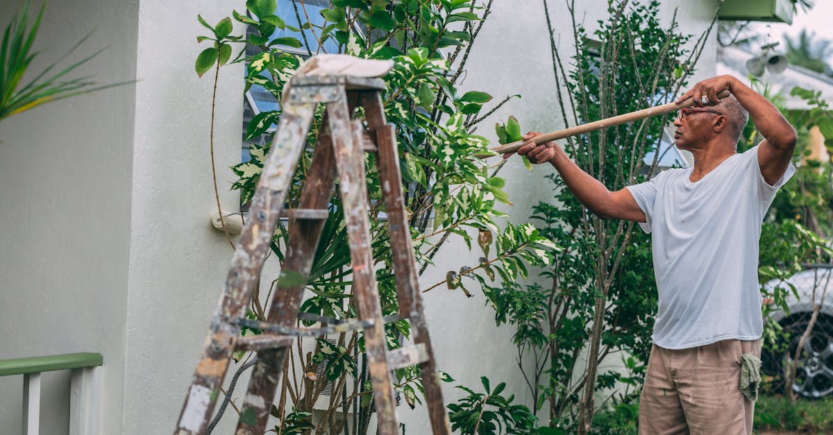 découvrez nos services de rénovation pour transformer votre espace de vie. que ce soit pour une rénovation intérieure, extérieure ou complète, notre équipe d'experts est là pour vous accompagner à chaque étape. obtenez des résultats impeccables et un style personnalisé qui correspond à vos envies.