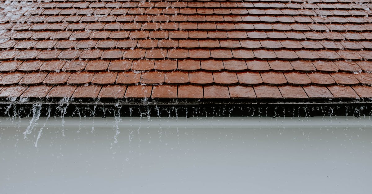 découvrez nos solutions de toiture de qualité, adaptées à tous vos besoins. que ce soit pour des réparations, des rénovations ou une construction neuve, notre équipe d'experts vous garantit un service fiable et durable. offrez à votre maison la protection qu'elle mérite avec nos matériaux de premier choix.