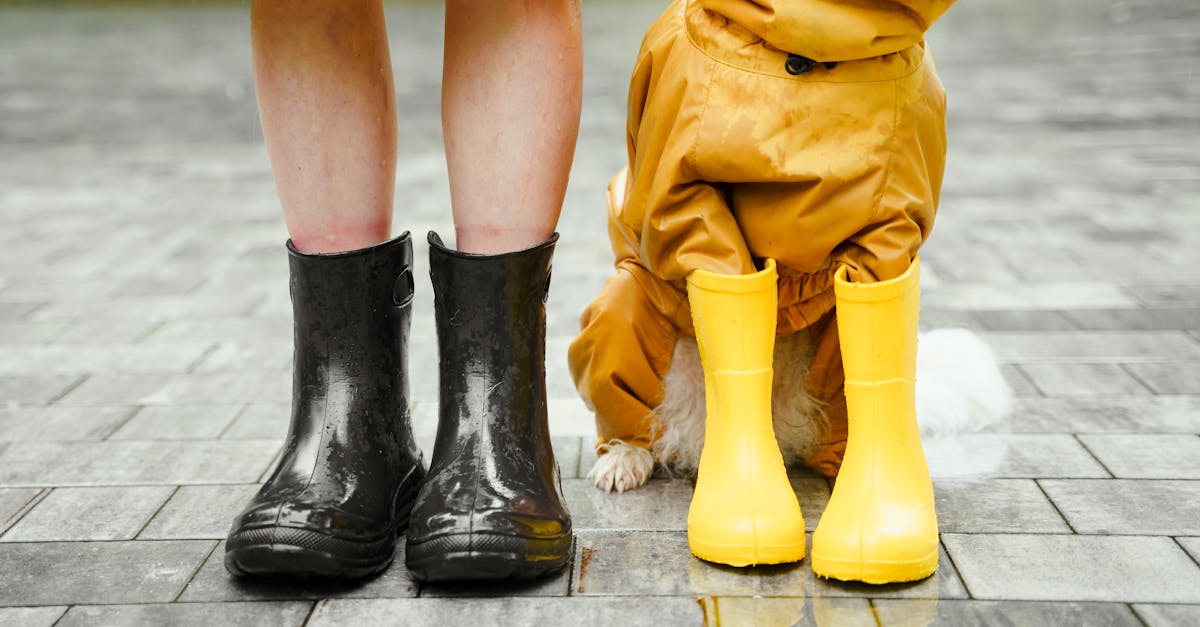 découvrez les meilleures solutions d'étanchéité pour protéger votre maison des infiltrations d'eau. nos conseils et produits de waterproofing garantissent une durabilité et une sécurité optimales pour vos espaces intérieurs et extérieurs.