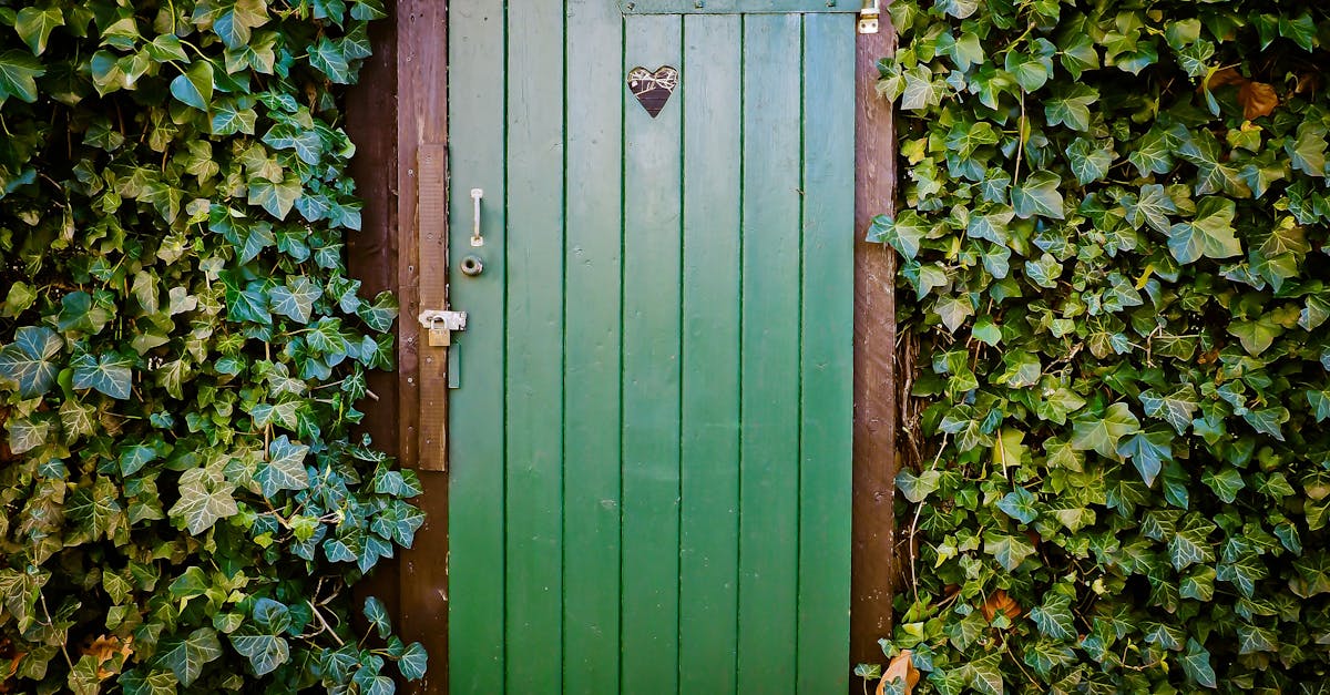 découvrez l'importance du test blower door pour évaluer l'étanchéité à l'air de votre habitat. ce diagnostic essentiel vous aide à réduire vos factures d'énergie, améliorer votre confort et garantir un air intérieur de qualité. informez-vous sur la procédure, les avantages et les résultats obtenus grâce à cette technique précise et efficace.
