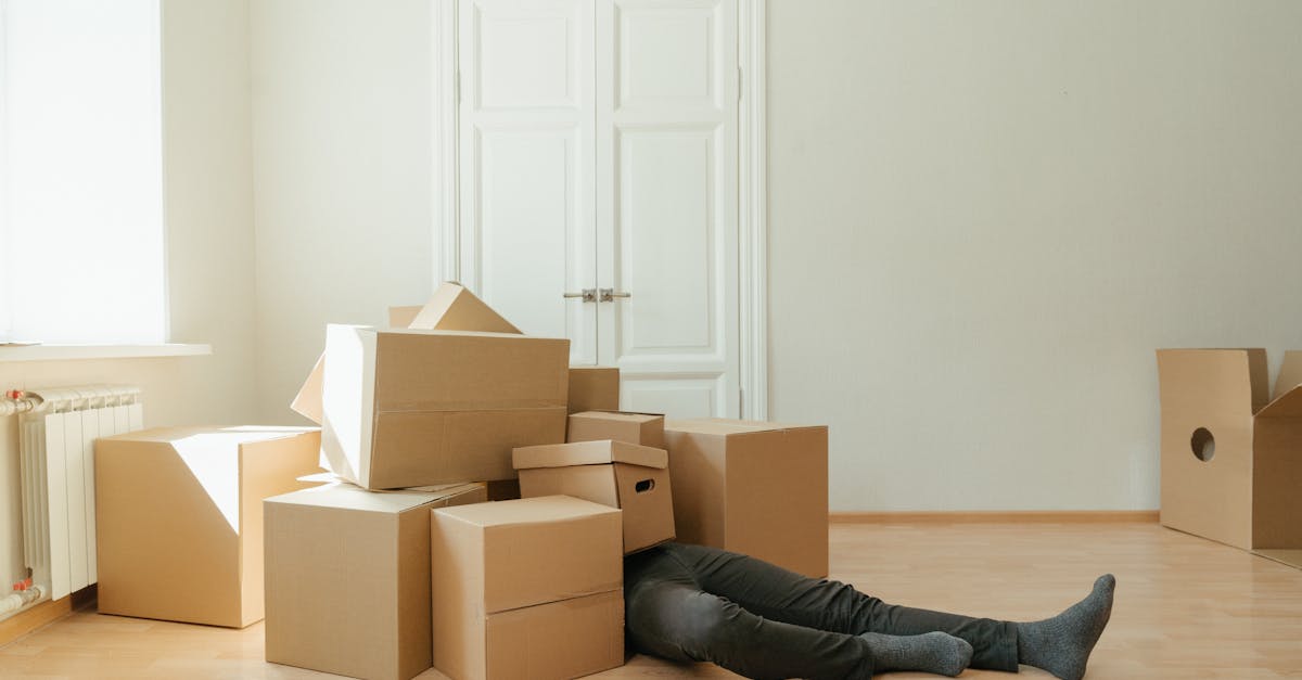 découvrez nos services de rénovation complète pour transformer votre espace. bénéficiez d’une expertise professionnelle, de conseils personnalisés et d’un résultat à la hauteur de vos attentes.