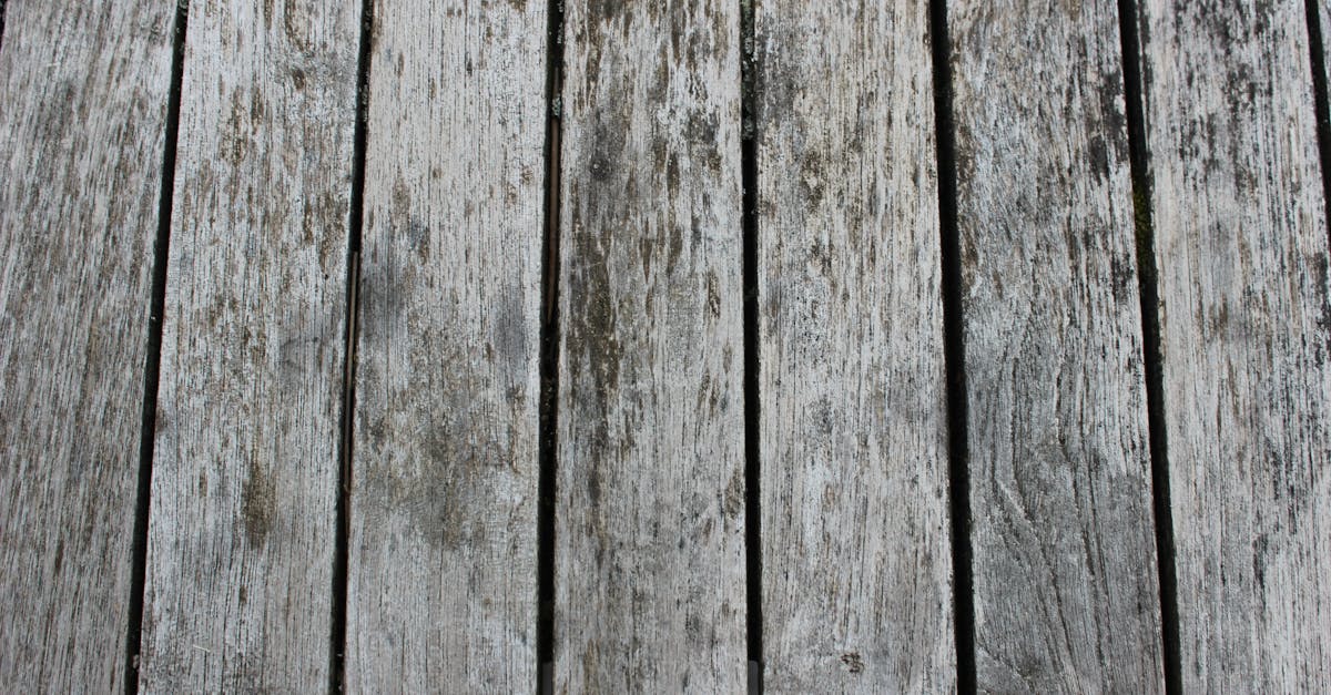découvrez tout sur le decking : conseils, idées d’aménagement et choix des matériaux pour sublimer votre terrasse extérieure. inspirez-vous pour créer un espace élégant et durable !