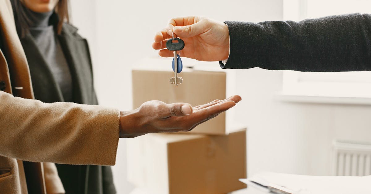 découvrez des solutions de financement adaptées à vos besoins. que ce soit pour un projet personnel, professionnel ou un investissement, trouvez les meilleures options de crédit, de prêt et de soutien financier pour réaliser vos ambitions.