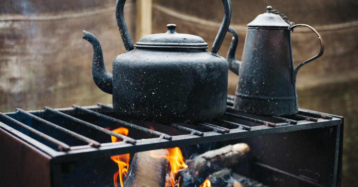 découvrez le poêle à pellets, une solution de chauffage économique, écologique et facile à utiliser pour rendre votre intérieur chaleureux tout en réduisant votre impact environnemental.