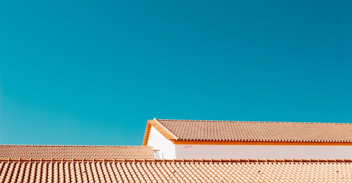 découvrez nos solutions de toiture de haute qualité. que ce soit pour la rénovation, l'entretien ou la construction, notre équipe d'experts vous garantit un service fiable et durable. protégez votre maison avec des matériaux de premier choix et un savoir-faire inégalé.