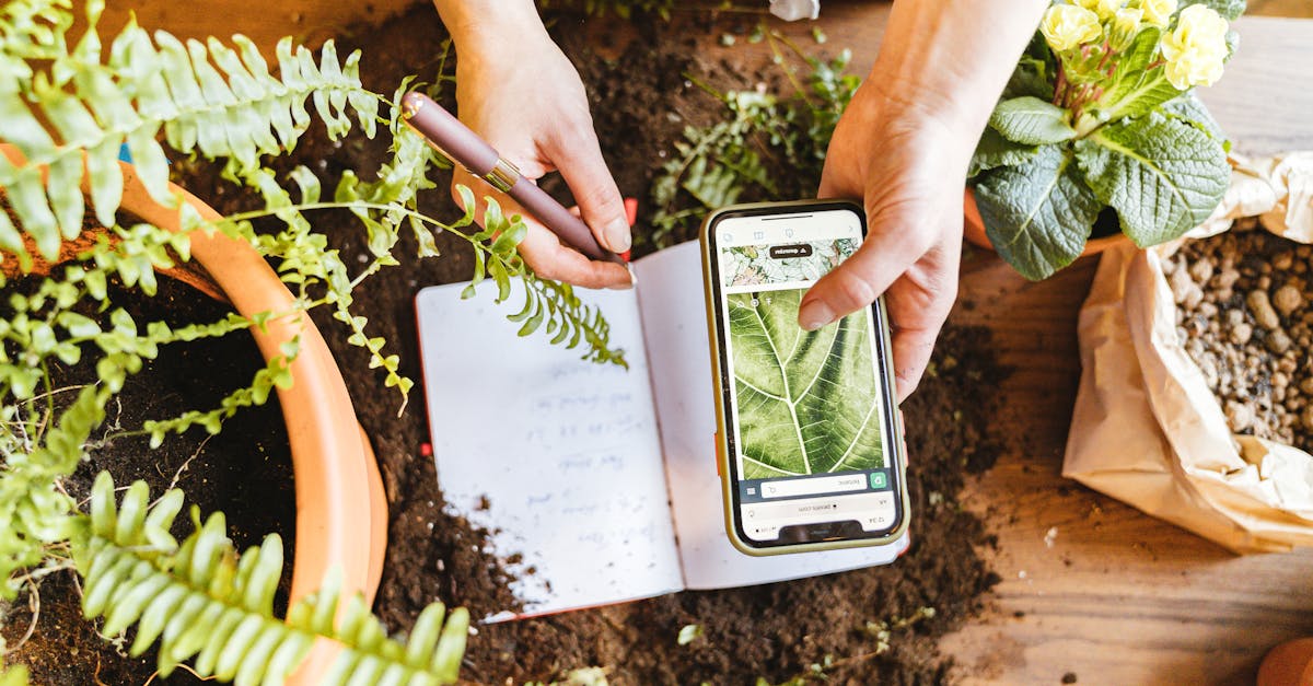 découvrez l'étude des sols : analyse des propriétés, impacts sur l'environnement et importance pour l'agriculture durable. plongez dans les secrets du sol et son rôle vital dans notre écosystème.