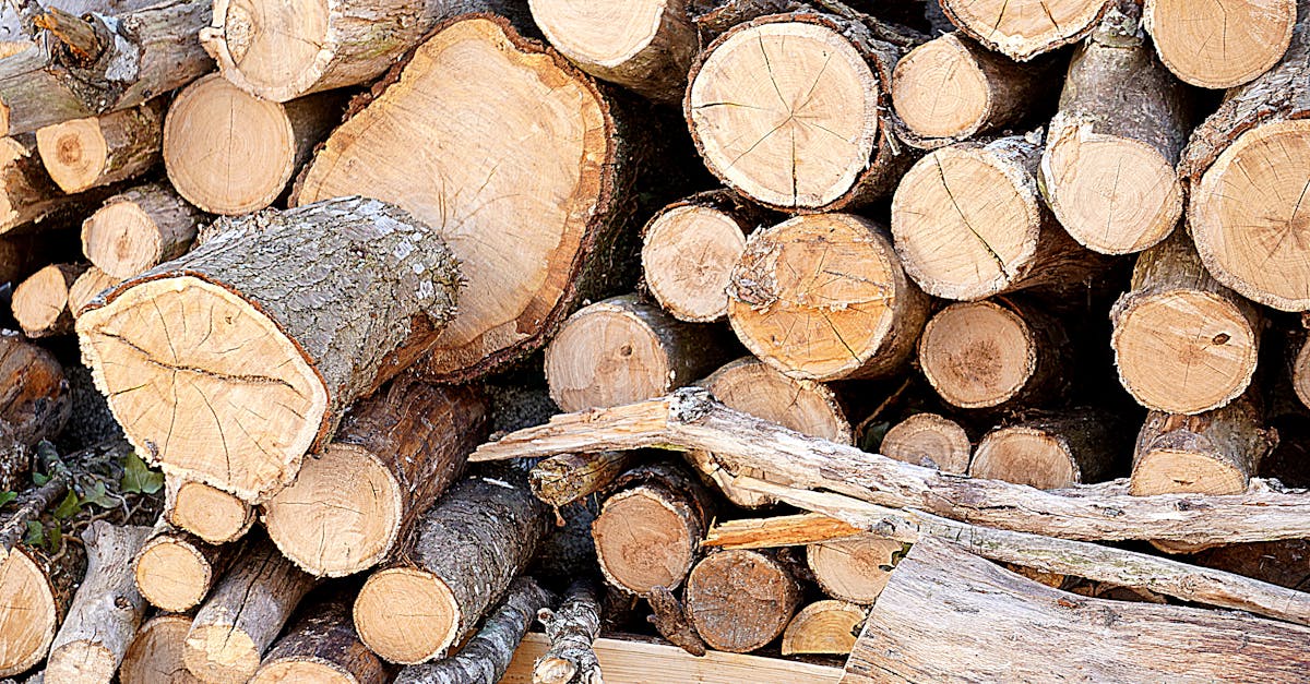 découvrez tout sur le bois (timber) : ses utilisations, ses avantages écologiques, les types de bois disponibles et des conseils pour vos projets de construction ou de rénovation.
