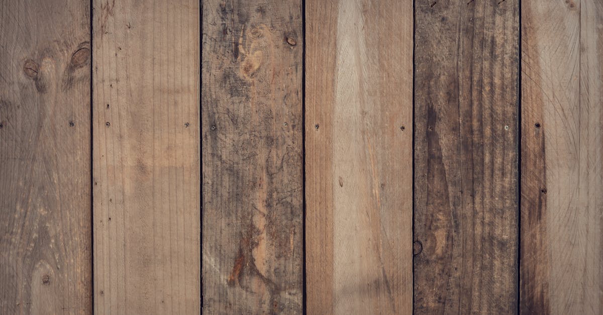 découvrez tout sur le bois ('timber') : ses utilisations, ses propriétés, son rôle dans la construction durable et les conseils pour choisir le meilleur matériau pour vos projets.