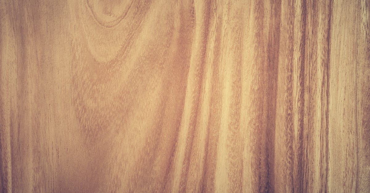 découvrez tout sur le bois timber : ses utilisations, caractéristiques et conseils pour choisir le meilleur bois pour vos projets de construction ou de décoration intérieure et extérieure.