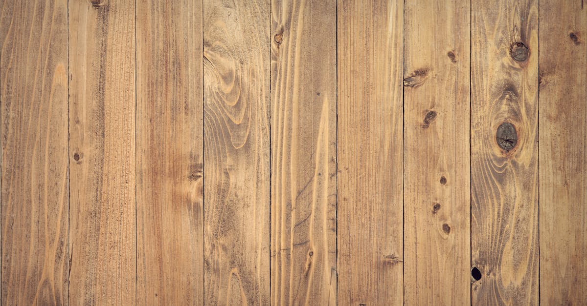 découvrez tout sur le bois timber : ses usages, ses caractéristiques, et ses avantages pour la construction, la décoration et l’aménagement. guide complet et conseils pratiques.