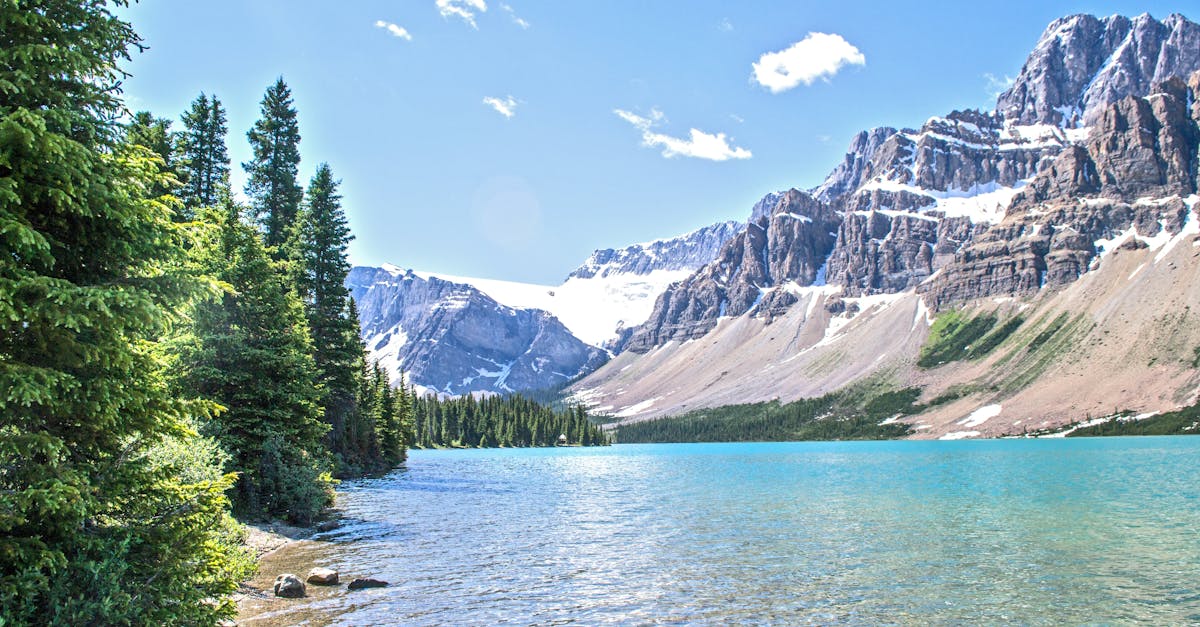 découvrez tout ce qu'il faut savoir sur les terrains non bâtis : définition, réglementation, problèmes d'urbanisme et opportunités d'utilisation. informez-vous sur les enjeux environnementaux et les solutions possibles pour les terrains jugés inconstructibles.