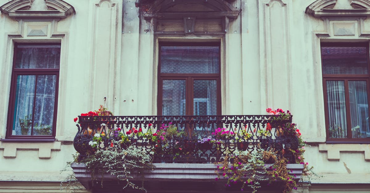 découvrez nos conseils et solutions pour la rénovation de façade : techniques, avantages, étapes, prix et astuces pour redonner vie à votre maison rapidement et efficacement.