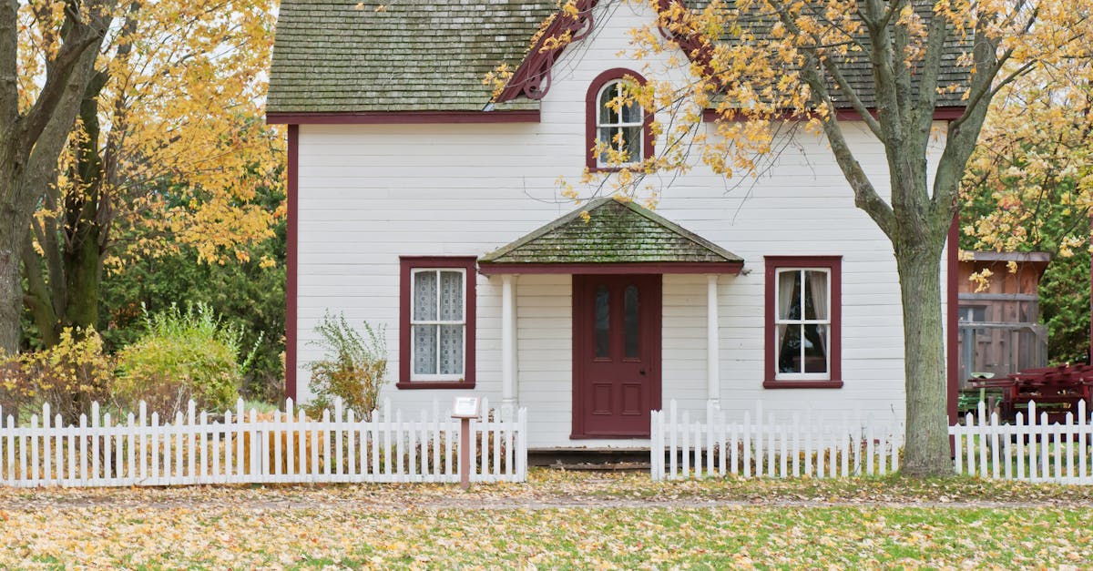 découvrez tout sur la maison : conseils d'aménagement, astuces de décoration, idées de rénovation et inspirations pour créer un intérieur chaleureux et fonctionnel.