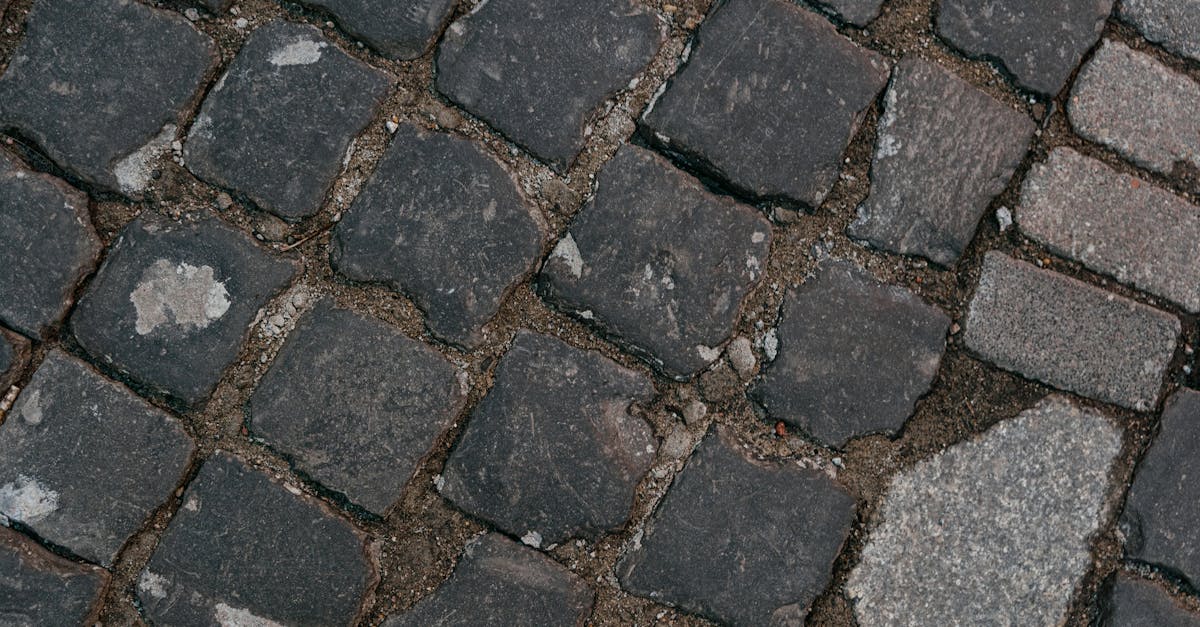 découvrez tout sur le pavage : techniques, conseils de pose, choix des matériaux et inspirations pour vos allées, terrasses et aménagements extérieurs. optimisez la durabilité et l’esthétique de vos surfaces avec les meilleures solutions de paving.