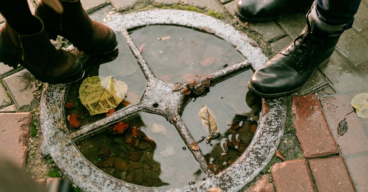 découvrez nos solutions de paving pour aménager vos allées, terrasses et espaces extérieurs avec des matériaux durables et esthétiques. conseils, pose et entretien pour un résultat professionnel.