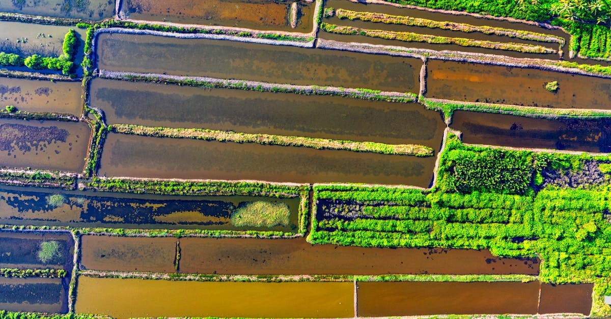 découvrez les normes et réglementations essentielles pour l'évacuation des eaux usées : prescriptions techniques, bonnes pratiques et conseils pour assurer la conformité et la protection de l'environnement.