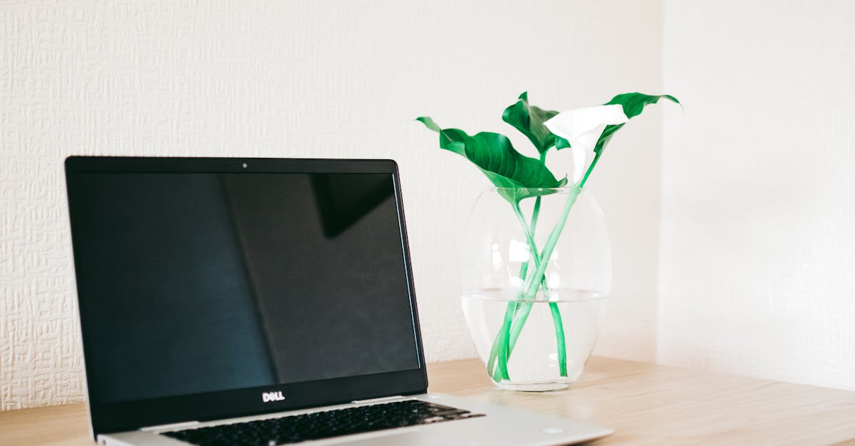 découvrez tout ce qu'il faut savoir sur les dalles : usages, types, matériaux, installation et conseils pour choisir la dalle idéale pour vos projets de construction ou de rénovation.