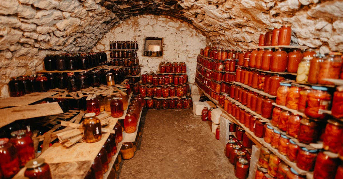 découvrez des astuces et solutions efficaces pour l'organisation de votre sous-sol afin d'optimiser l'espace et le rangement.