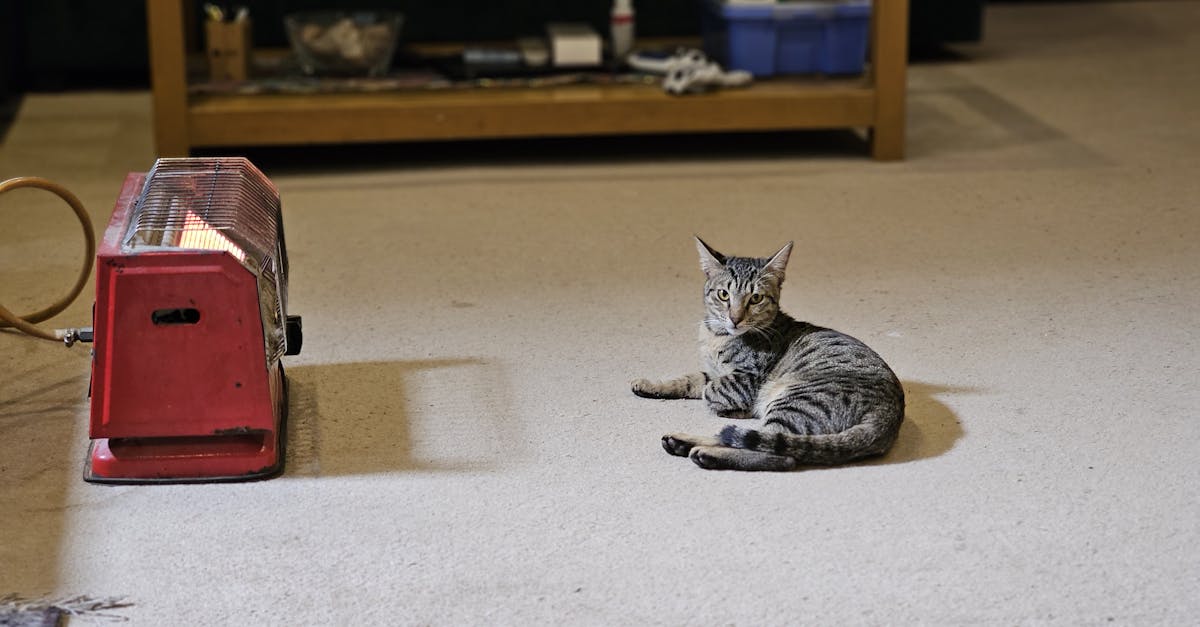 chauffage de salle de bain efficace et sécurisé pour un confort optimal durant vos moments de détente.