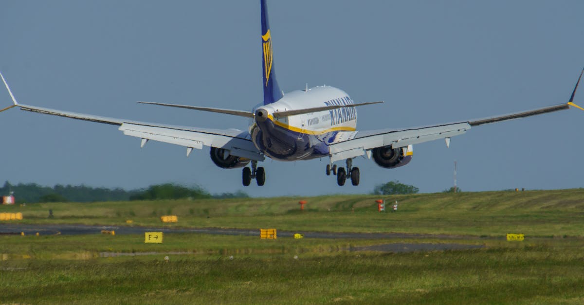 installation de chatière facile et rapide pour permettre à votre chat d'entrer et sortir librement. guide complet pour choisir et installer la meilleure chatière.