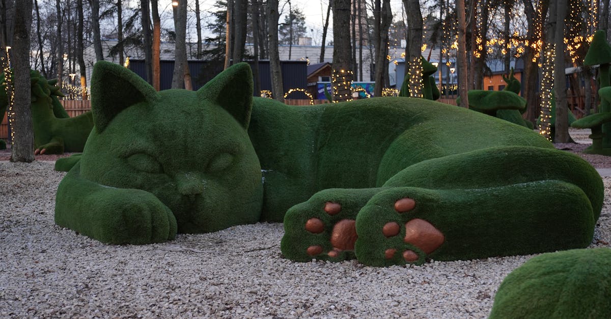 installation de chatière : guide complet pour poser facilement une chatière et permettre à votre chat d'entrer et sortir en toute liberté.