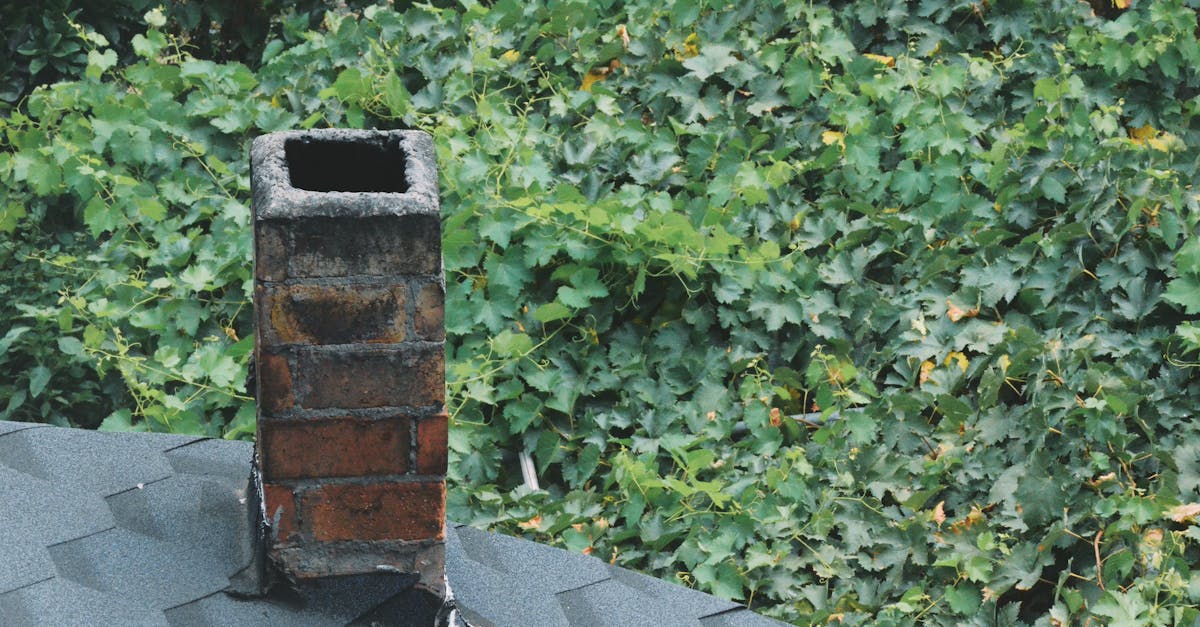 comprendre le phénomène de backdraft dans une cheminée : causes, risques et solutions pour assurer une bonne évacuation des fumées et prévenir les accidents.