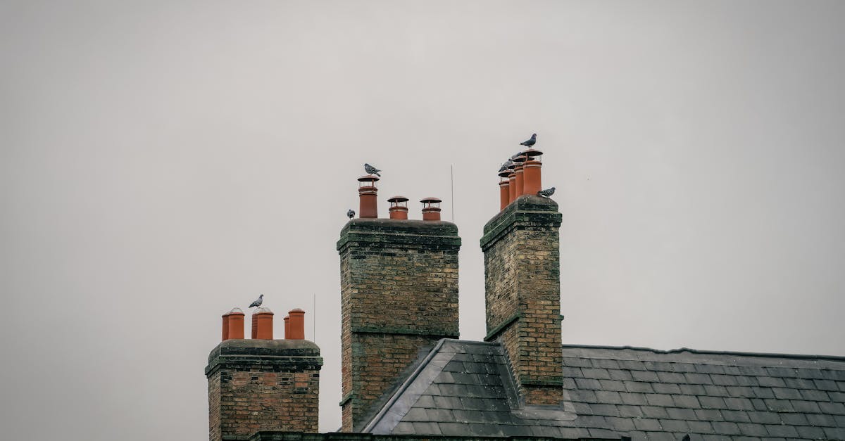 services professionnels d'étanchéité de cheminée pour protéger votre maison des infiltrations d'air et d'eau, améliorer l'efficacité énergétique et assurer la sécurité.