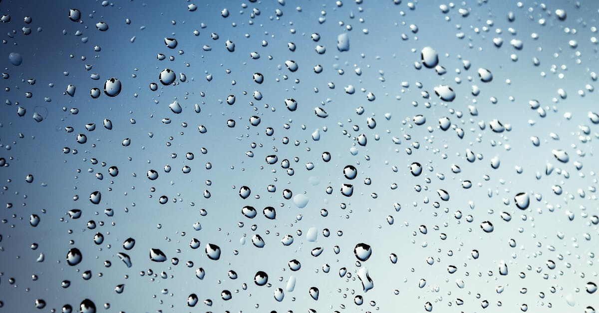 découvrez des solutions efficaces pour la prévention de la condensation et protégez vos espaces contre l'humidité et les dégâts.