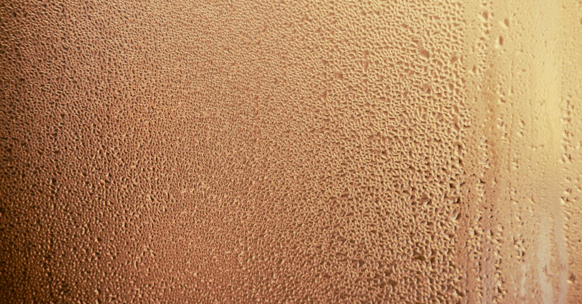 découvrez des solutions efficaces pour prévenir la condensation et protéger vos espaces de l'humidité et des moisissures.