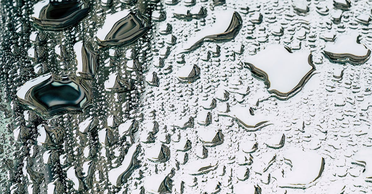 découvrez des solutions efficaces pour la prévention de la condensation et améliorez le confort de votre intérieur en évitant l'humidité et les problèmes liés.