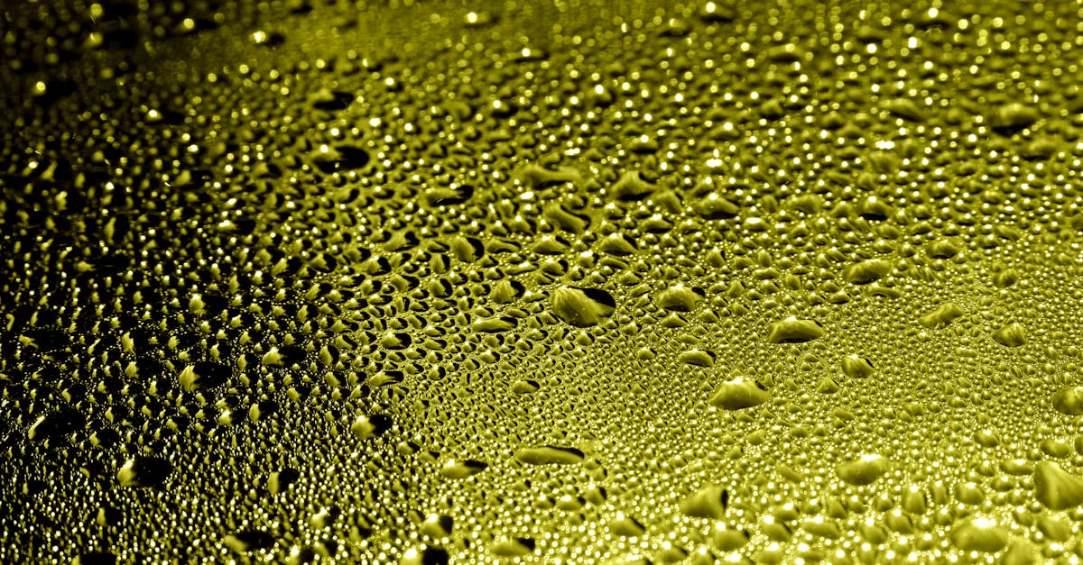 découvrez des solutions efficaces pour la prévention de la condensation et améliorez le confort et la durabilité de votre habitat.