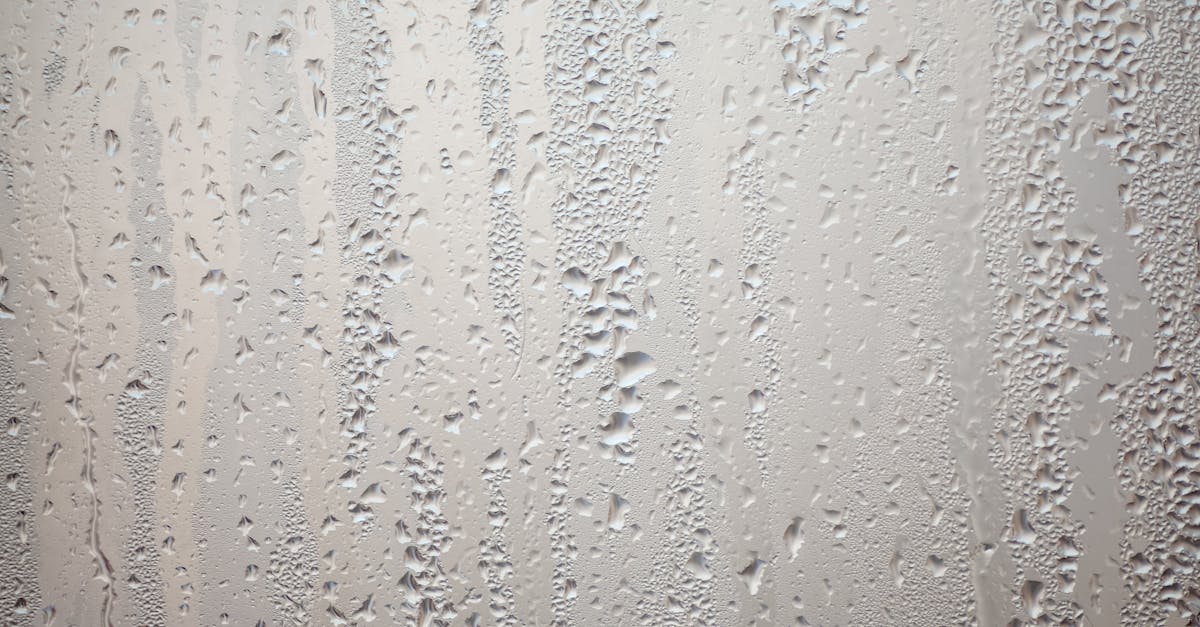 découvrez des solutions efficaces pour prévenir la condensation et protéger vos espaces de l'humidité et des moisissures.