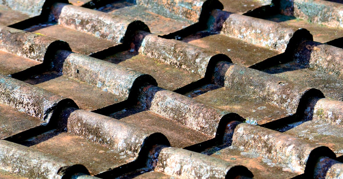 découvrez des matériaux durables pour terrasses, alliant résistance et esthétisme pour un extérieur écologique et durable.