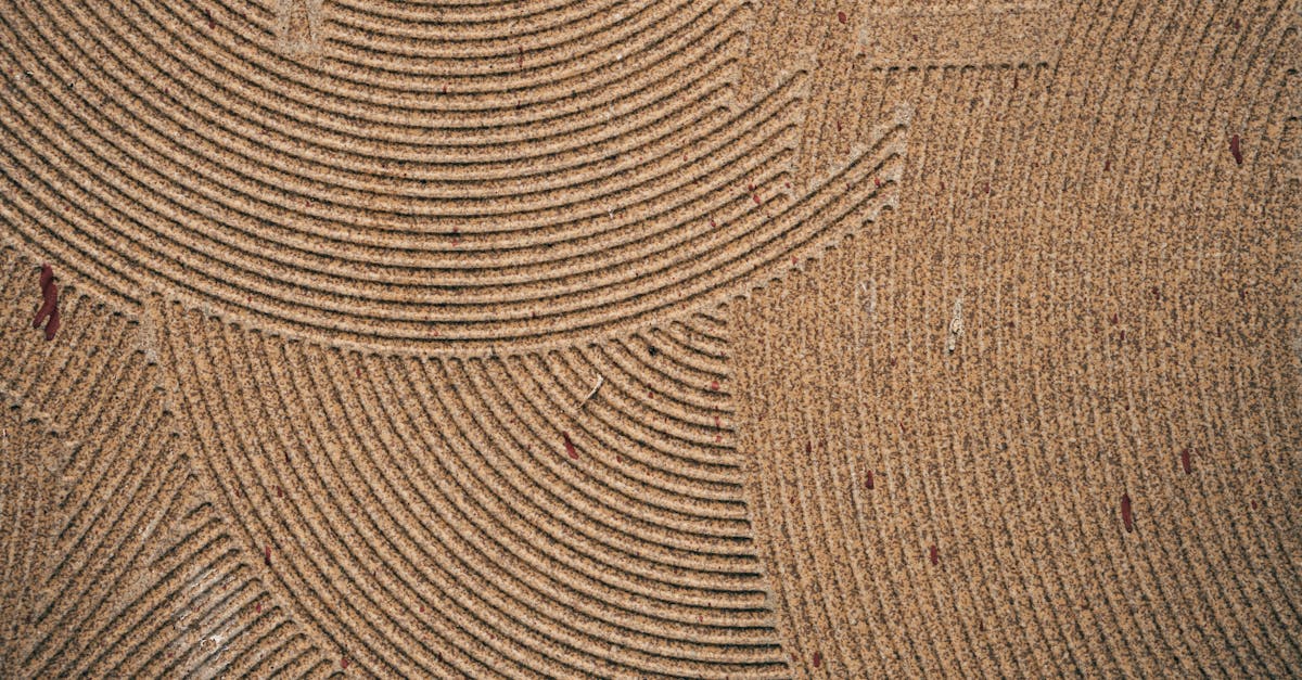 découvrez des matériaux durables pour terrasses alliant résistance, esthétique et respect de l'environnement, parfaits pour votre espace extérieur.