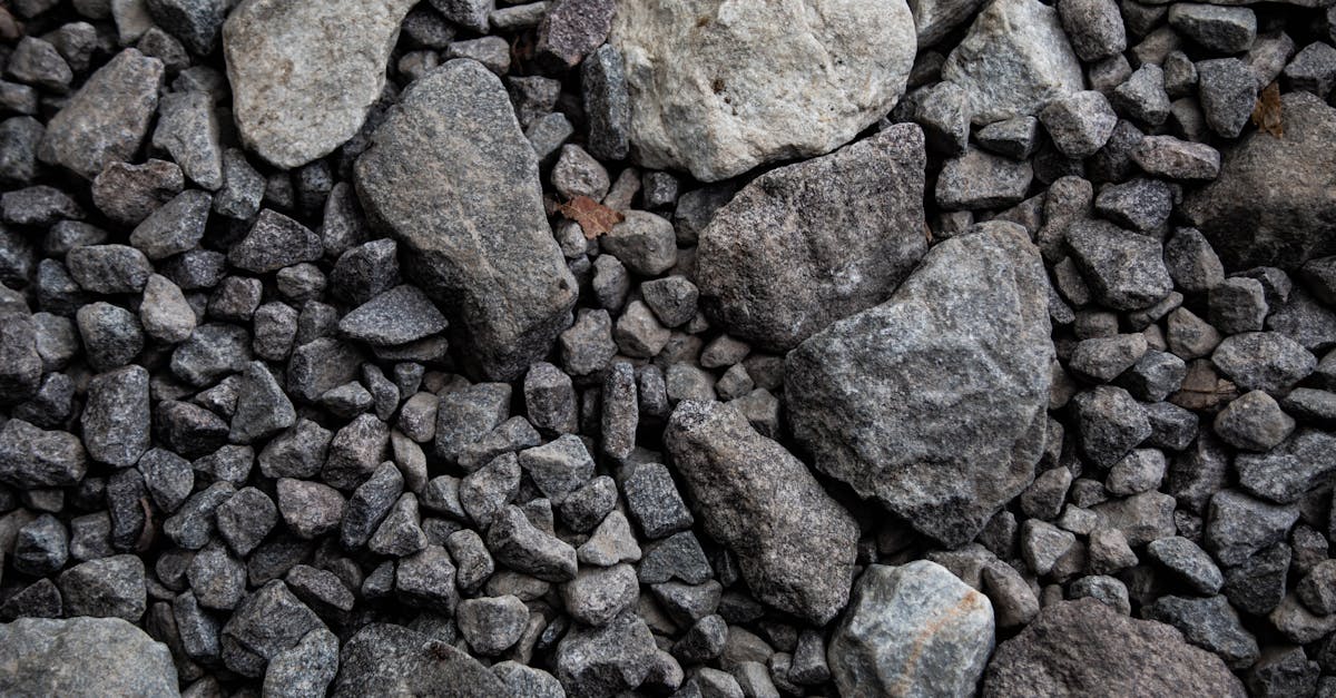 découvrez des matériaux durables pour terrasse, alliant résistance et esthétique pour un espace extérieur écologique et durable.