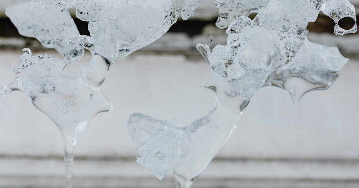 apprenez comment dégivrer votre congélateur efficacement pour améliorer son fonctionnement et prolonger sa durée de vie grâce à nos conseils simples et rapides.