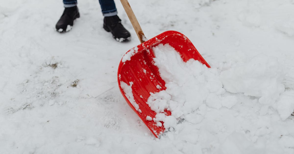 découvrez des méthodes efficaces pour enlever le givre de votre congélateur rapidement et facilement, afin d'optimiser son fonctionnement et économiser de l'énergie.