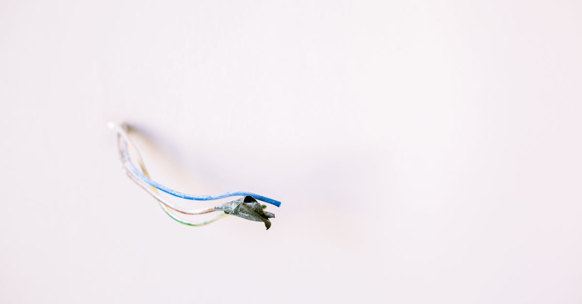 apprenez à installer une prise électrique en toute sécurité avec notre guide étape par étape, idéal pour les débutants et les bricoleurs.