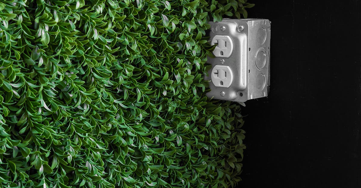 apprenez à installer une prise électrique en toute sécurité avec notre guide étape par étape, adapté aux débutants et aux bricoleurs expérimentés.