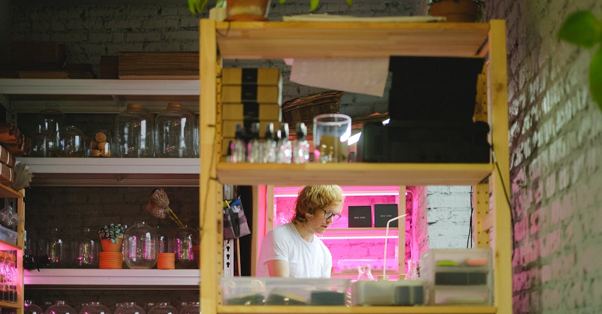 découvrez comment certaines plantes peuvent pousser sans lumière grâce à des techniques innovantes et des conditions adaptées.