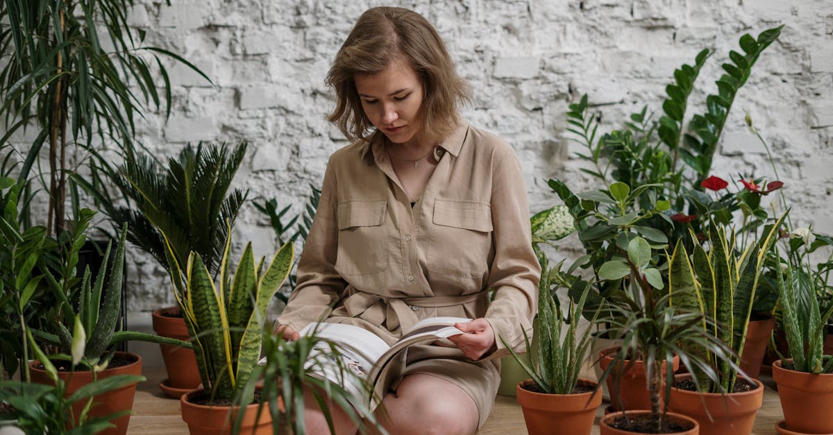 découvrez comment certaines plantes peuvent pousser sans lumière et les méthodes pour cultiver des végétaux en conditions d'obscurité.