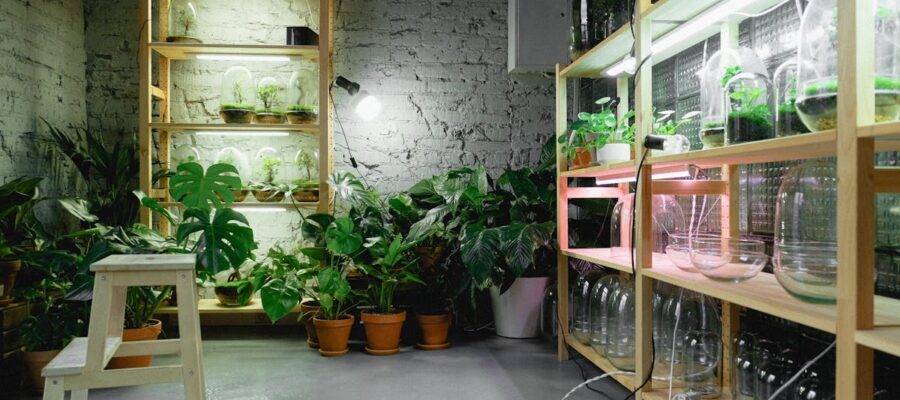 découvrez comment certaines plantes peuvent pousser sans lumière et les méthodes pour cultiver des végétaux dans l'obscurité.