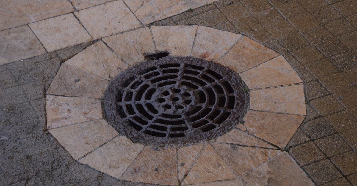 systèmes efficaces de drainage des eaux pluviales pour protéger votre propriété et gérer l'eau de pluie de manière durable.