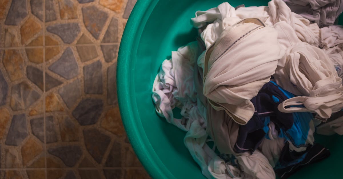 apprenez comment enlever efficacement la moisissure des tissus grâce à nos méthodes simples et naturelles pour retrouver des vêtements propres et frais.