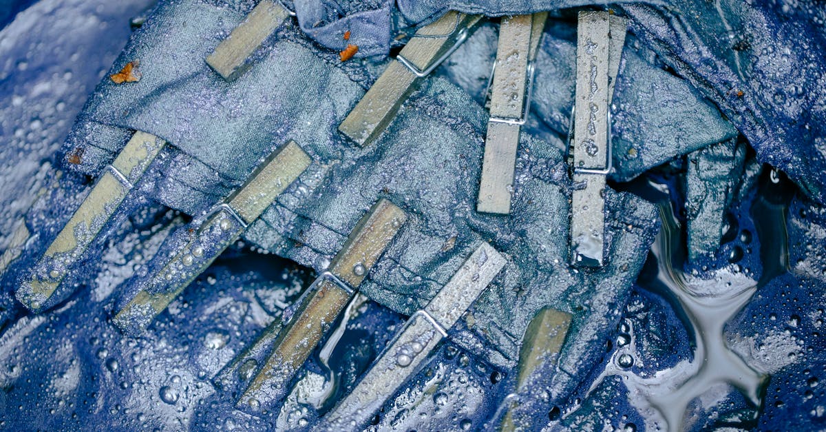 apprenez comment éliminer efficacement la moisissure des tissus grâce à nos conseils pratiques et faciles à suivre.